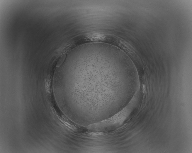 X0000074260604200609011344