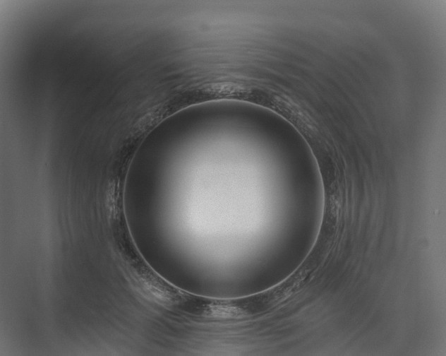 X0000074260605200609011344