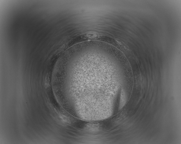 X0000074260606200609011344