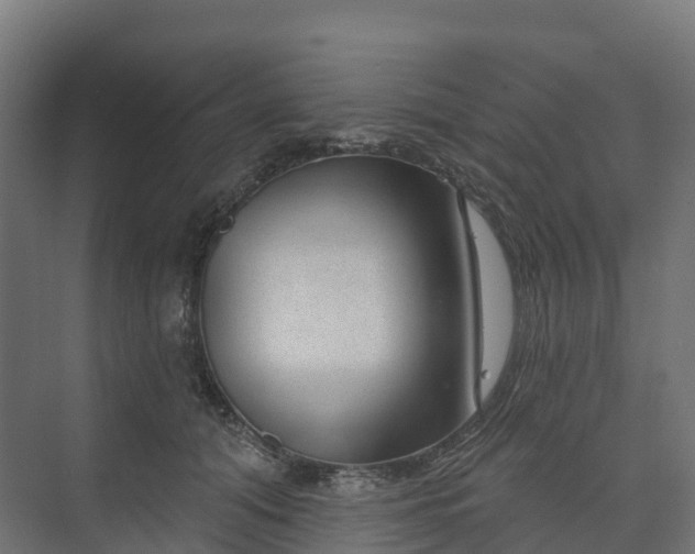 X0000074260608200609011344