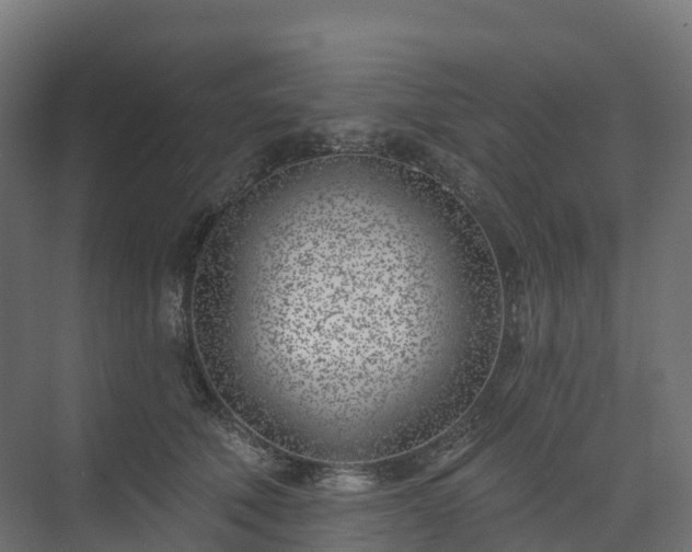 X0000074260610200609011344