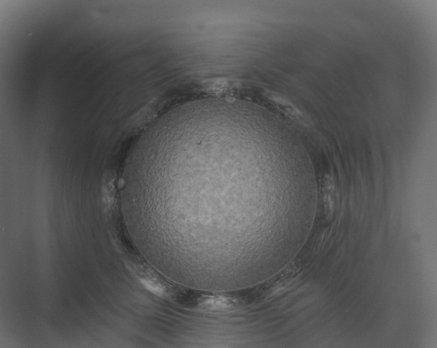 X0000074260611200609011344