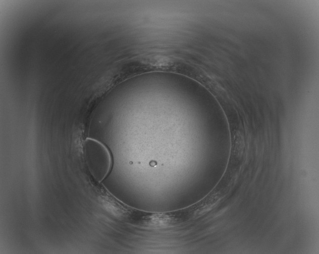 X0000074260612200609011344