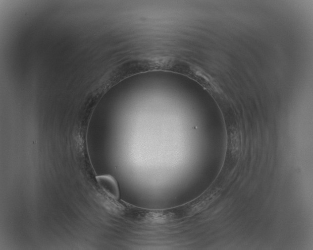 X0000074260613200609011344