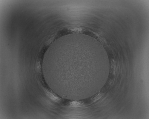 X0000074260614200609011344