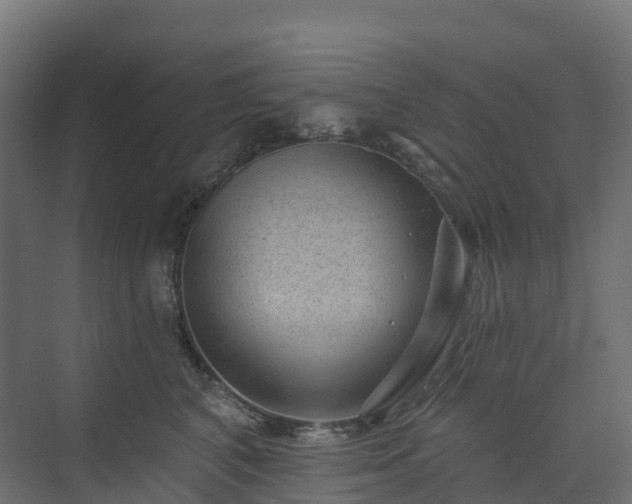 X0000074260616200609011344