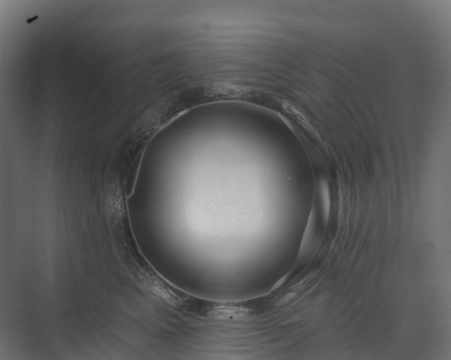 X0000074260617200609011344