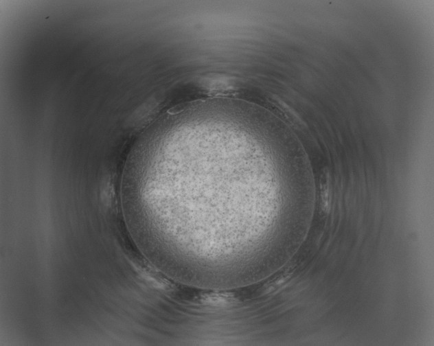 X0000074260618200609011344