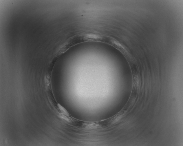 X0000074260621200609011344