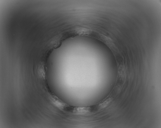 X0000074260622200609011344