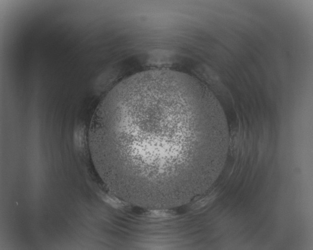 X0000074260623200609011344