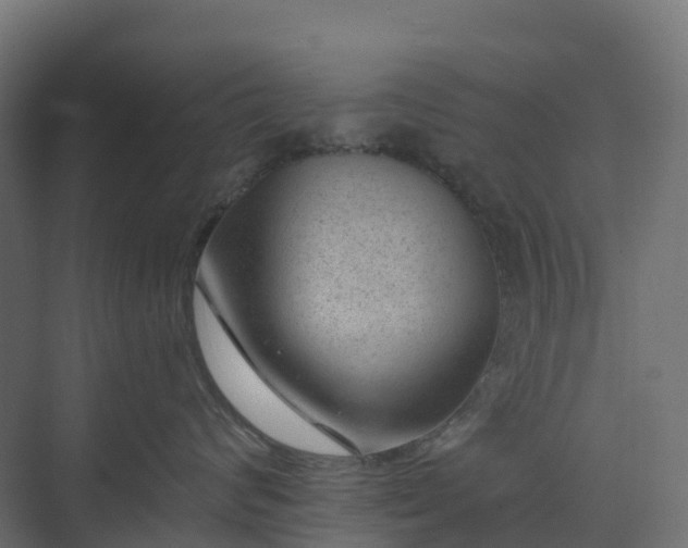 X0000074260624200609011344