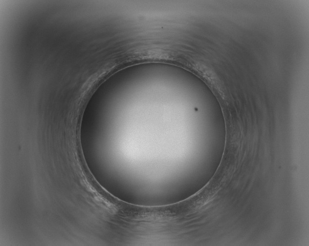 X0000074260625200609011343