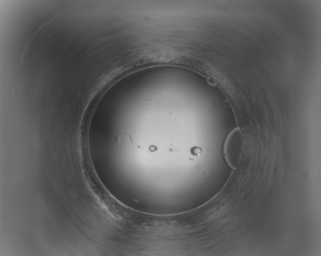 X0000074260626200609011343