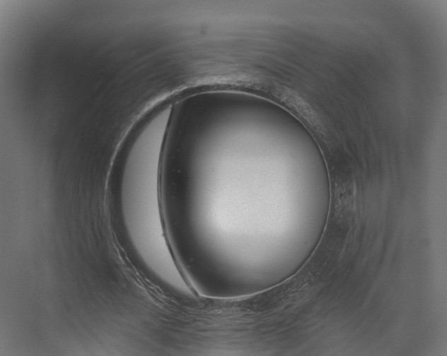 X0000074260628200609011343