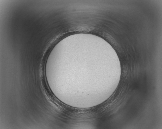 X0000074260632200609011343