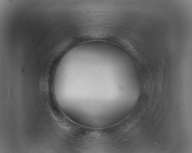 X0000074260635200609011343