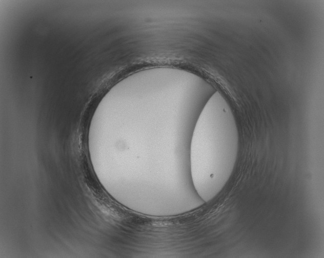 X0000074260636200609011344