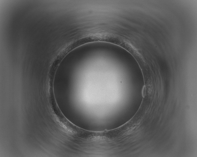 X0000074260637200609011344