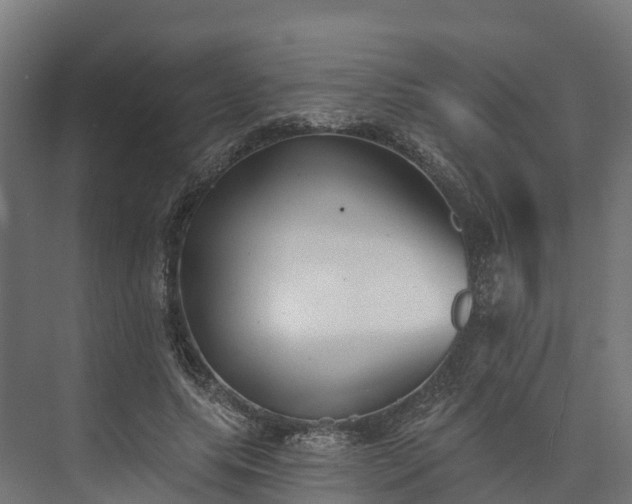 X0000074260639200609011344