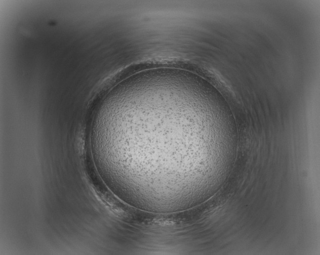 X0000074260640200609011344