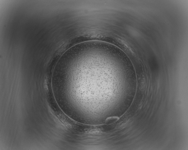 X0000074260643200609011344