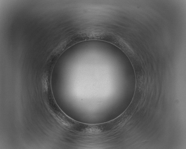 X0000074260644200609011344