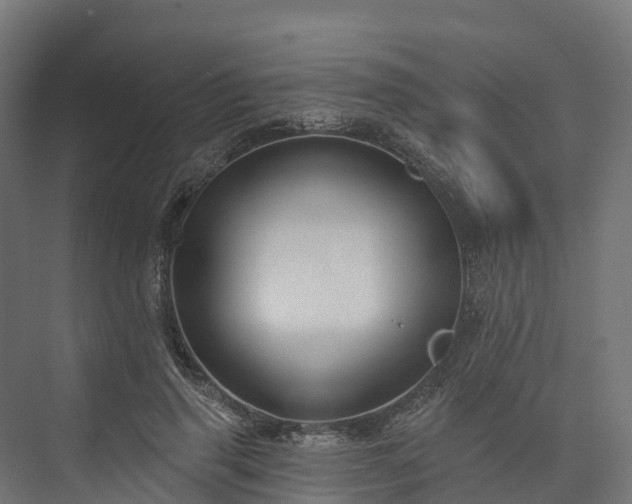 X0000074260645200609011344