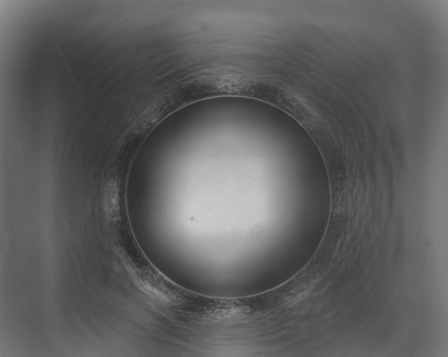 X0000074260646200609011344