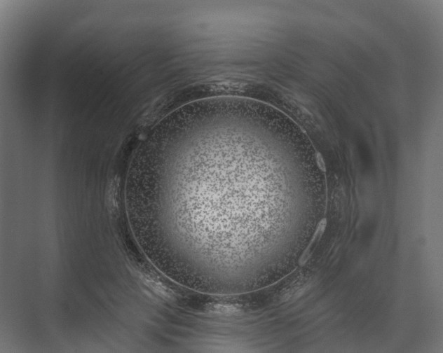 X0000074260649200609011344