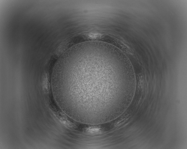 X0000074260651200609011344