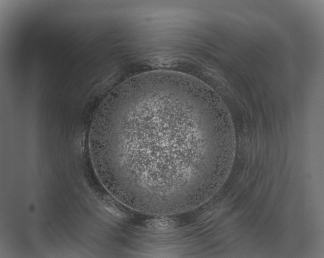 X0000074260652200609011344