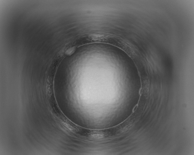 X0000074260653200609011344