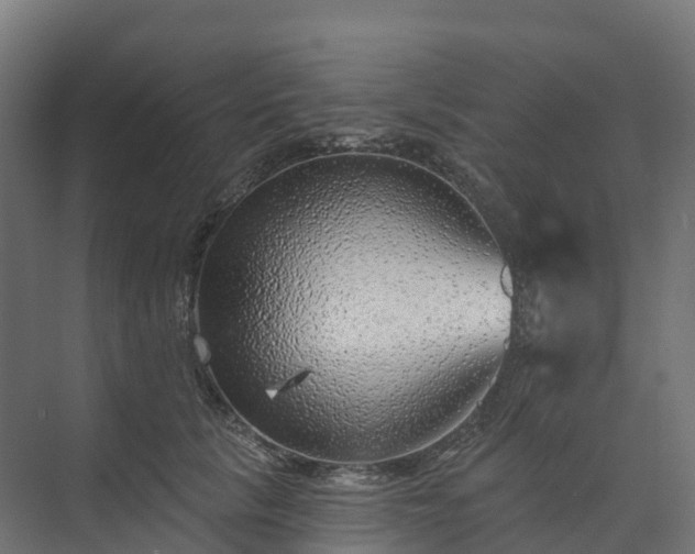 X0000074260657200609011344