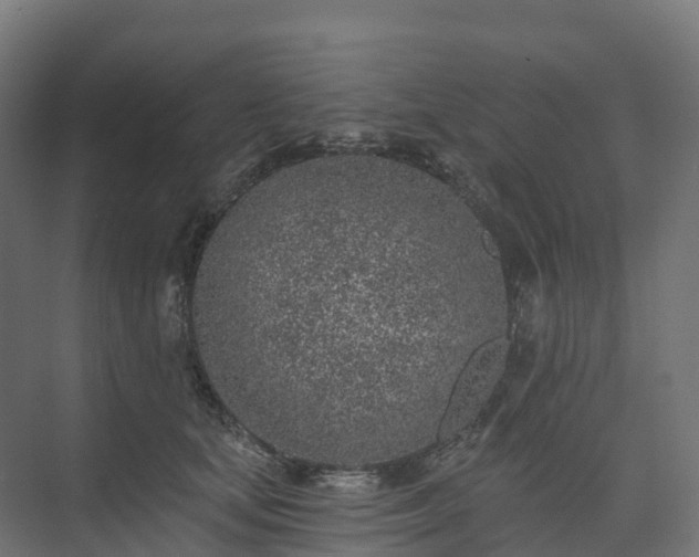 X0000074260659200609011344