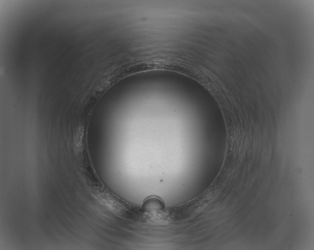 X0000074260660200609011344