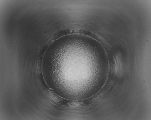 X0000074260661200609011344