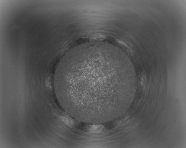 X0000074260663200609011344