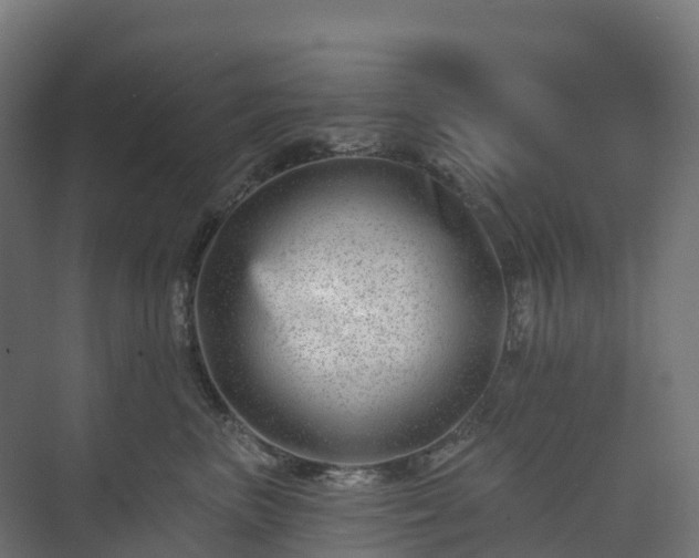 X0000074260667200609011344