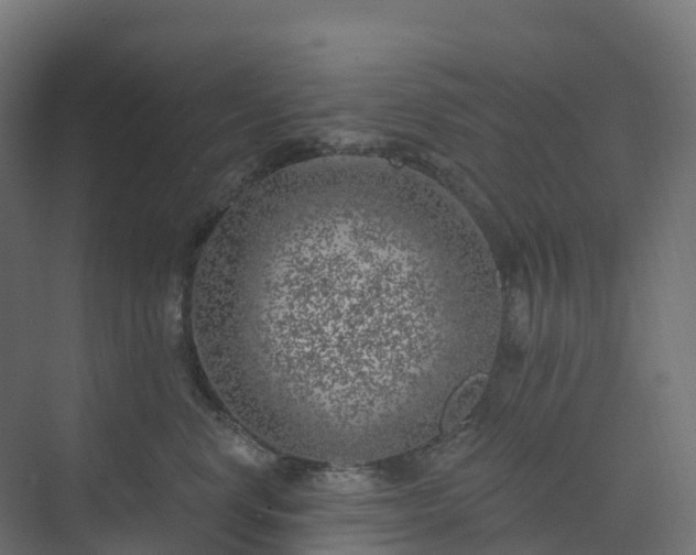 X0000074260668200609011344