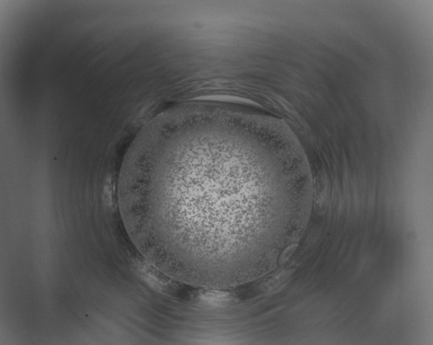 X0000074260669200609011344