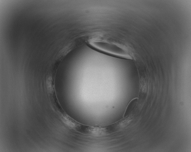 X0000074260670200609011344