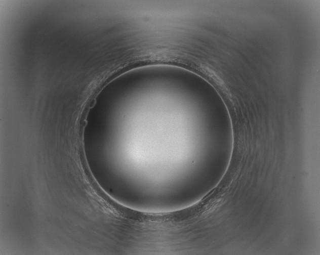 X0000074260673200609011343