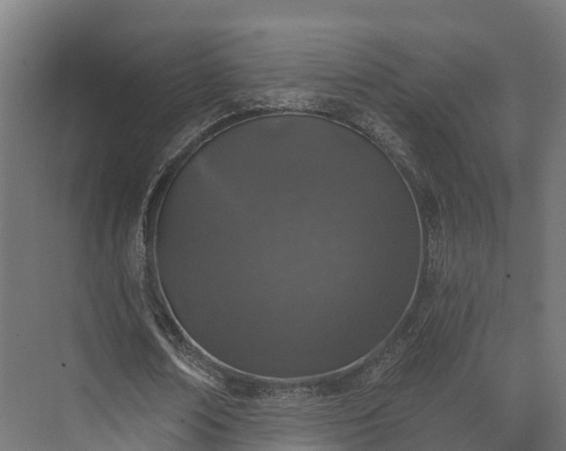 X0000074260674200609011343