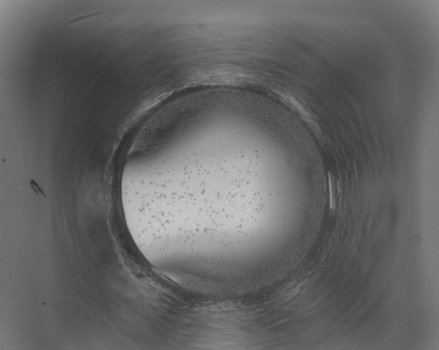 X0000074260675200609011343