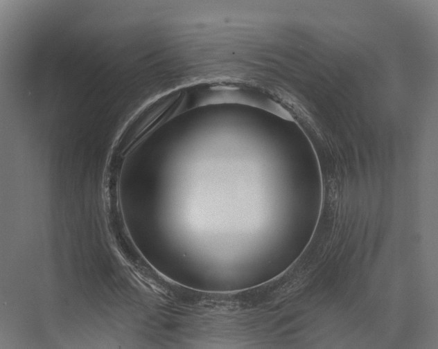 X0000074260676200609011343