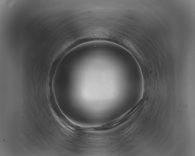 X0000074260677200609011343