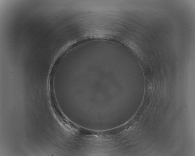 X0000074260678200609011343