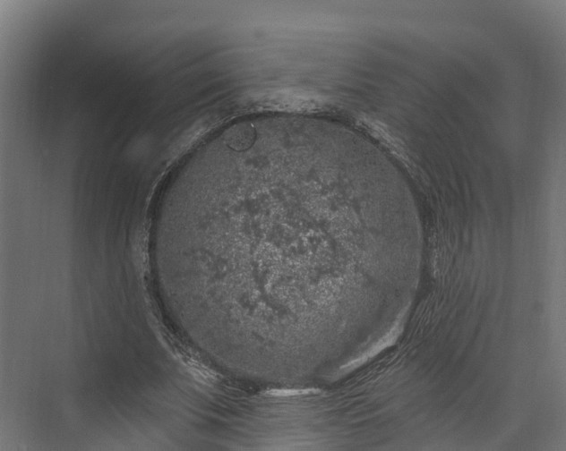 X0000074260679200609011343