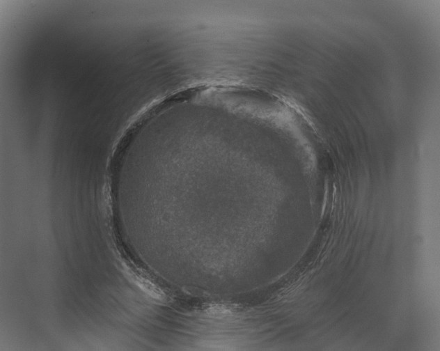 X0000074260684200609011343